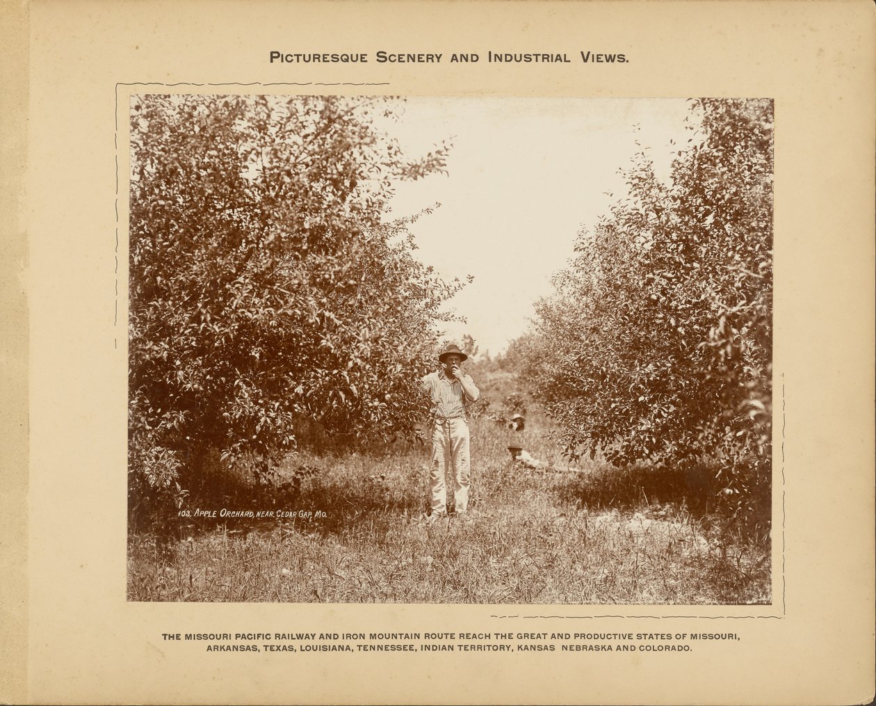 Apfelgarten, nahe Cedar Gap, Missouri von H. C. Townsend