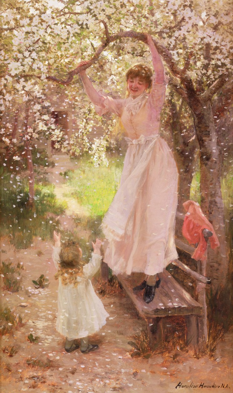 Fallende Apfelblüten von Hamilton Hamilton
