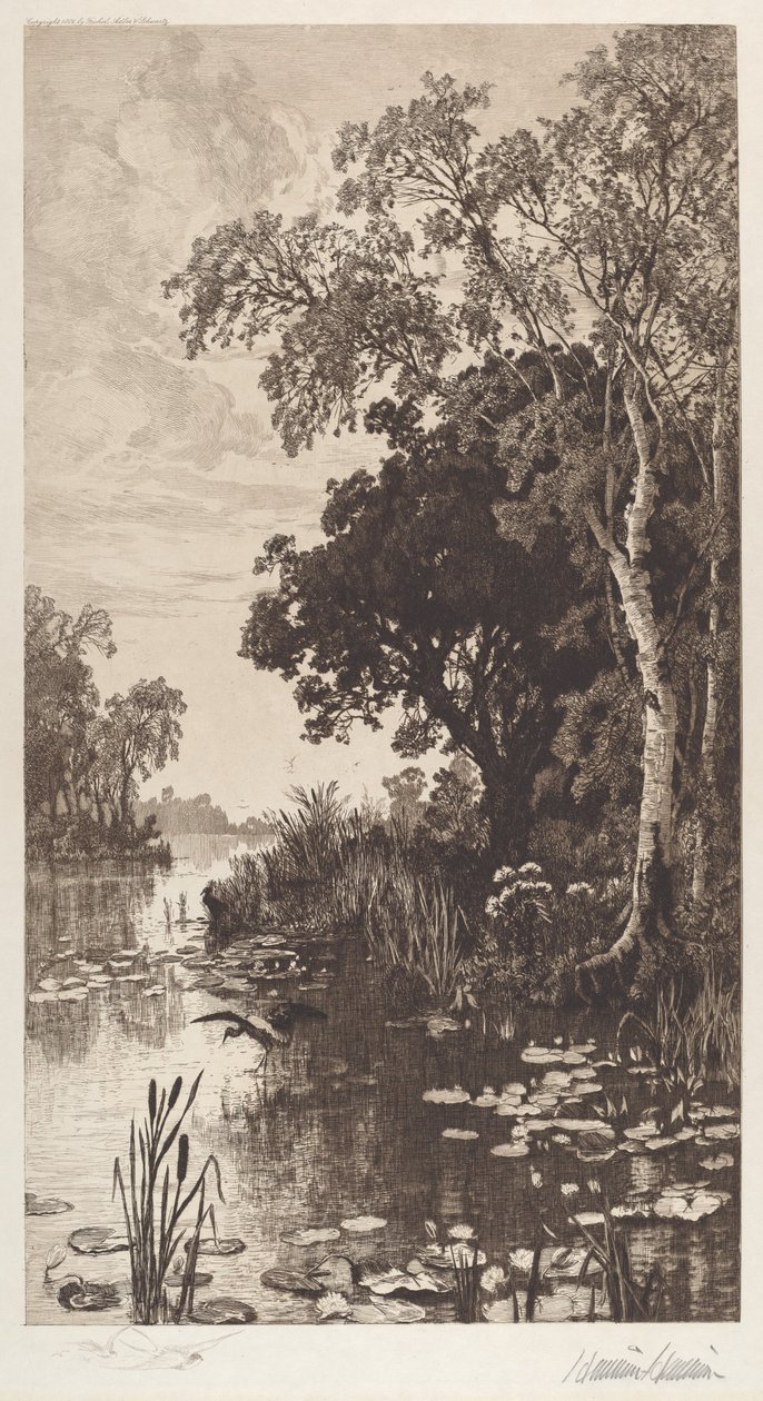 Ohne Titel (Sommer) von Hamilton Hamilton