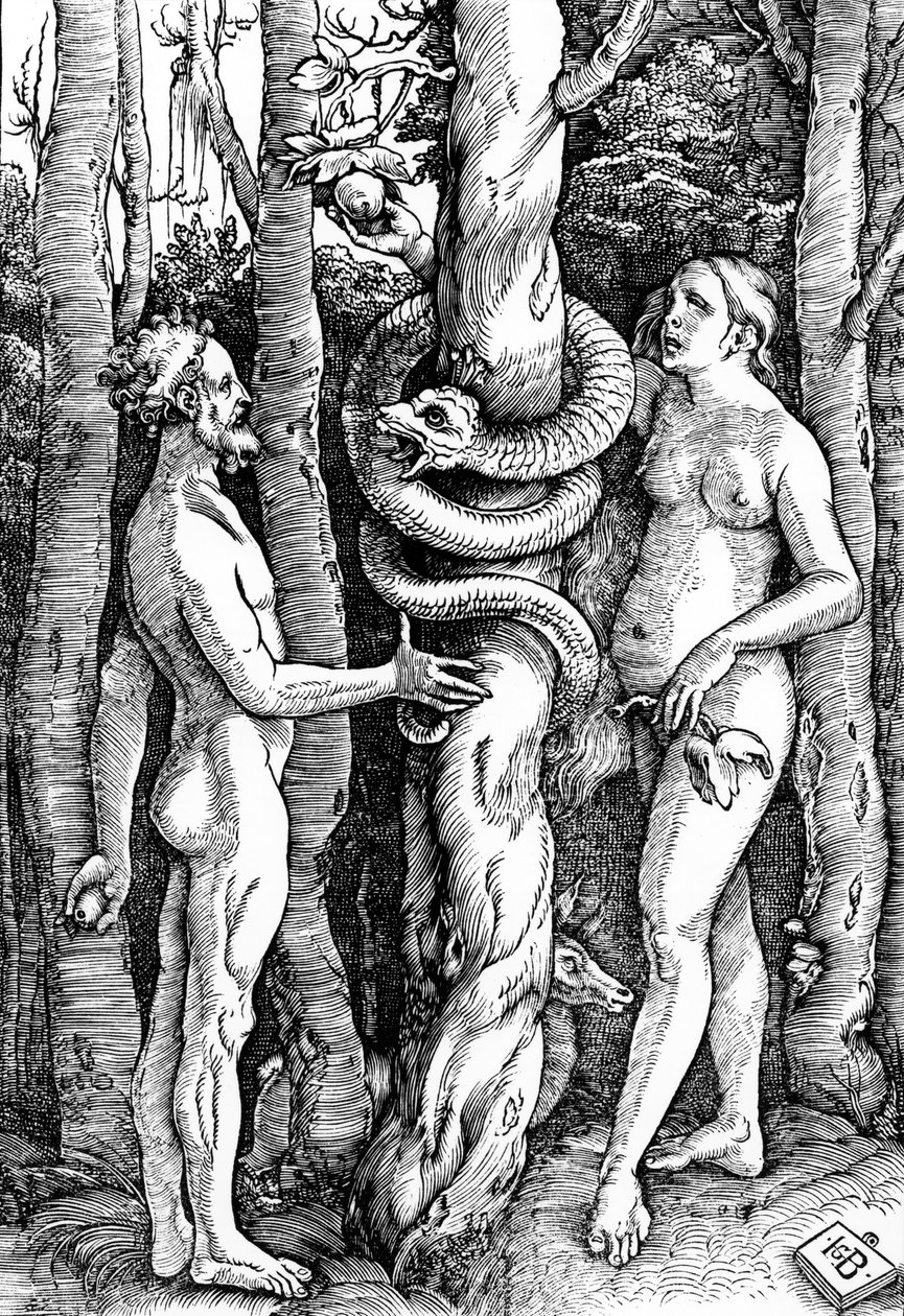 Der Sündenfall, ca. 1514 von Hans Baldung Grien