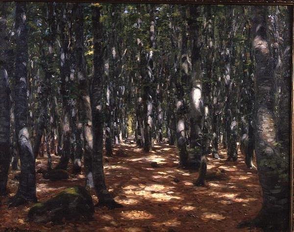 Sonnenbeschienener Wald von Hans Andersen Brendekilde