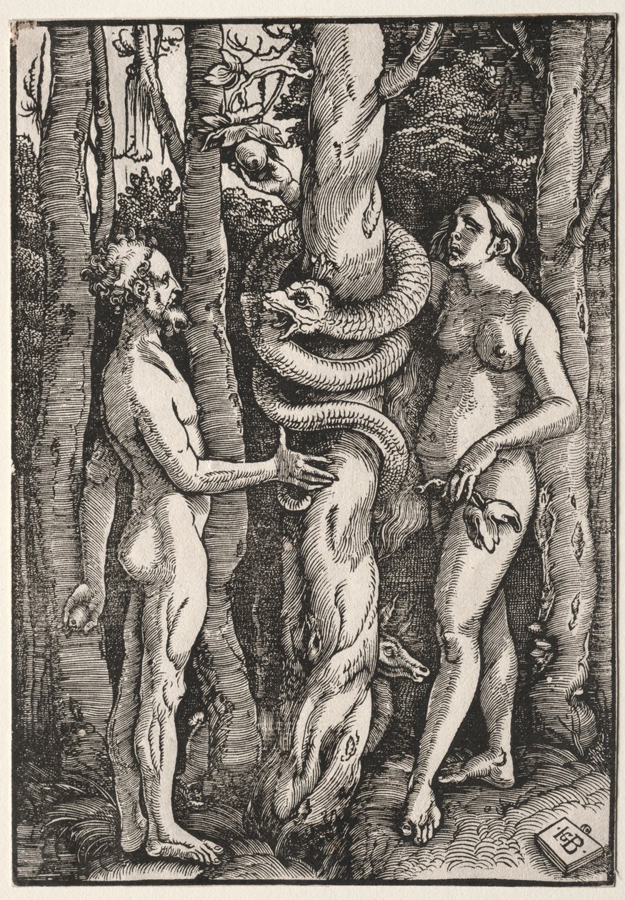 Adam und Eva von Hans Baldung