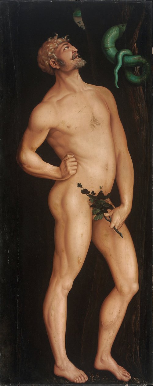 Adam von Hans Baldung Grien