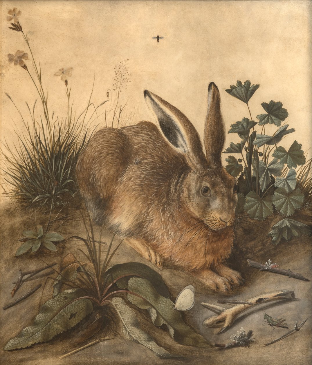 Der Hase von Hans Hoffmann