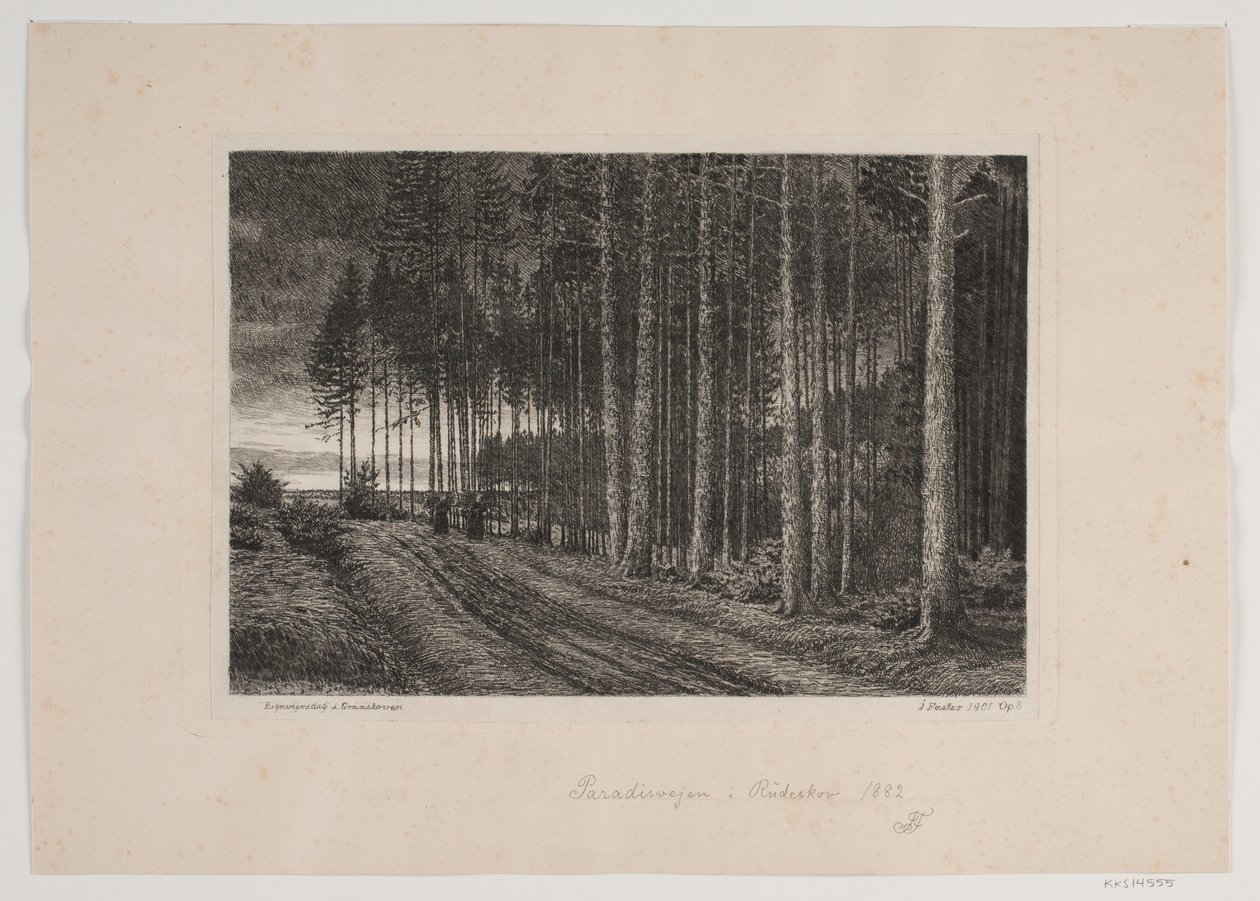 Regentag im Tannenwald von Hans Julius Fæster