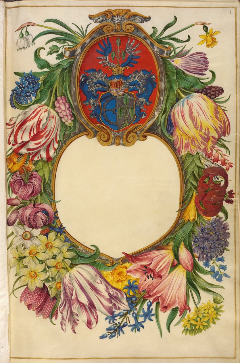 Titelblatt Moller-Florilegium (1) von Hans Simon Holtzbecker