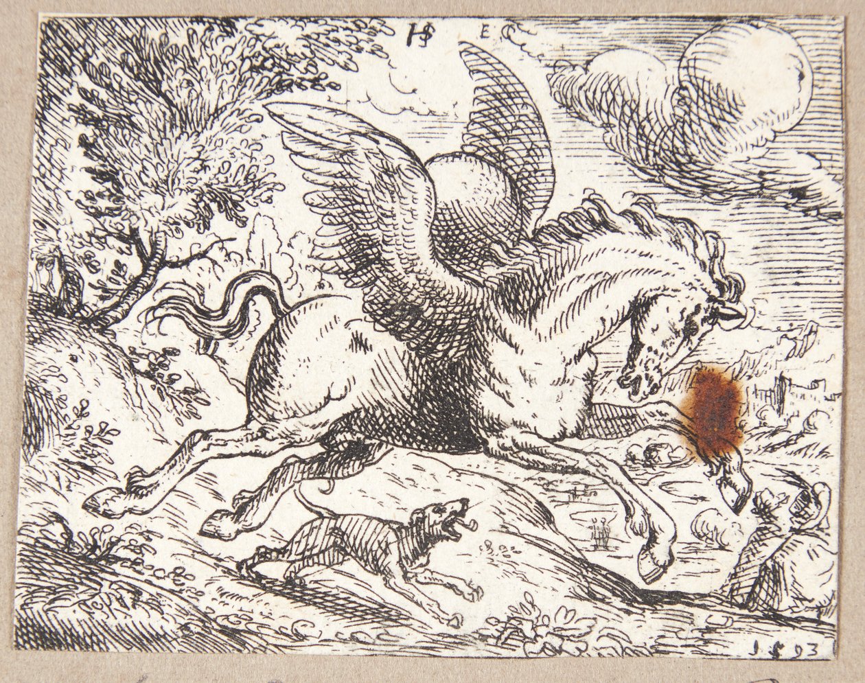 Pegasus von Hans Strohmayer