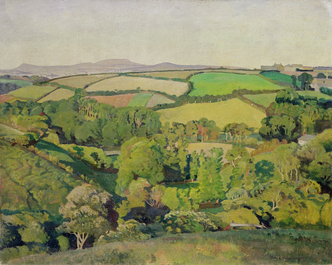 Drift Valley von Harold Harvey