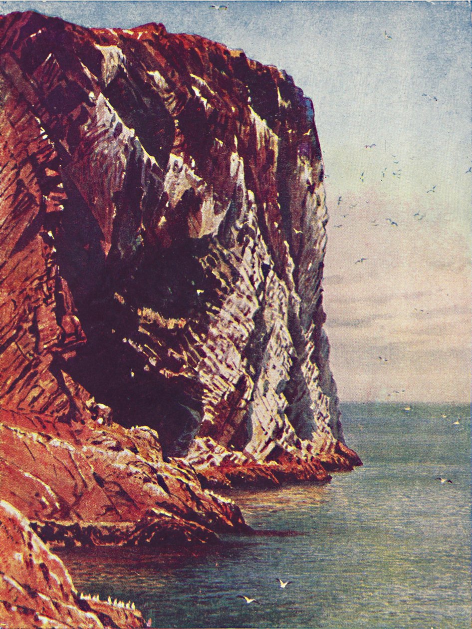 Bass Rock, 1910 von Harold Sutton Palmer