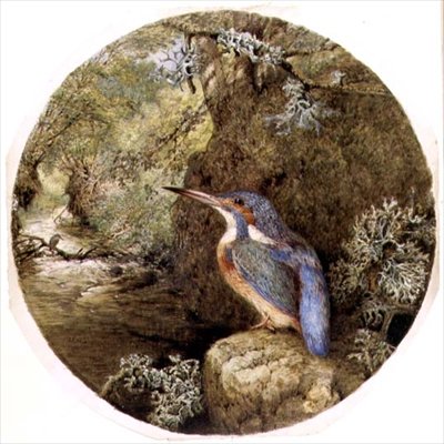 Der Eisvogelplatz von Harrison William Weir