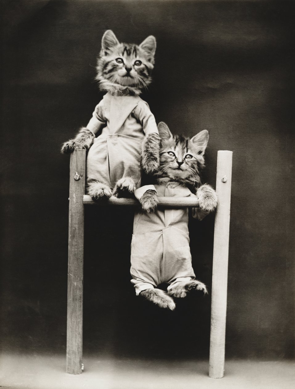 Kitties Serie: Übung, ca. 1914 von Harry Whittier Frees