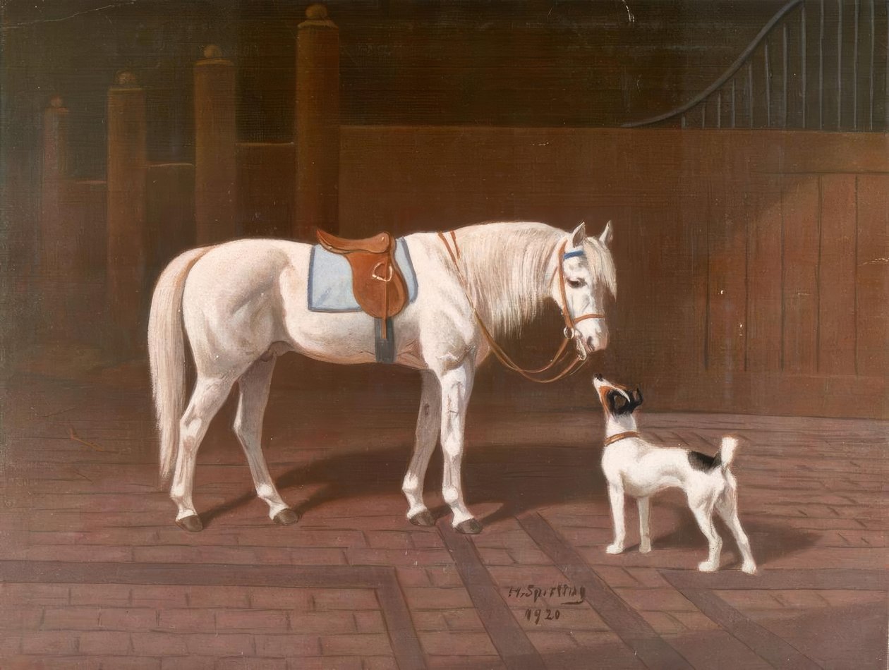 Pferd, Schimmel (nach H. Sperling) von Heinrich Sperling