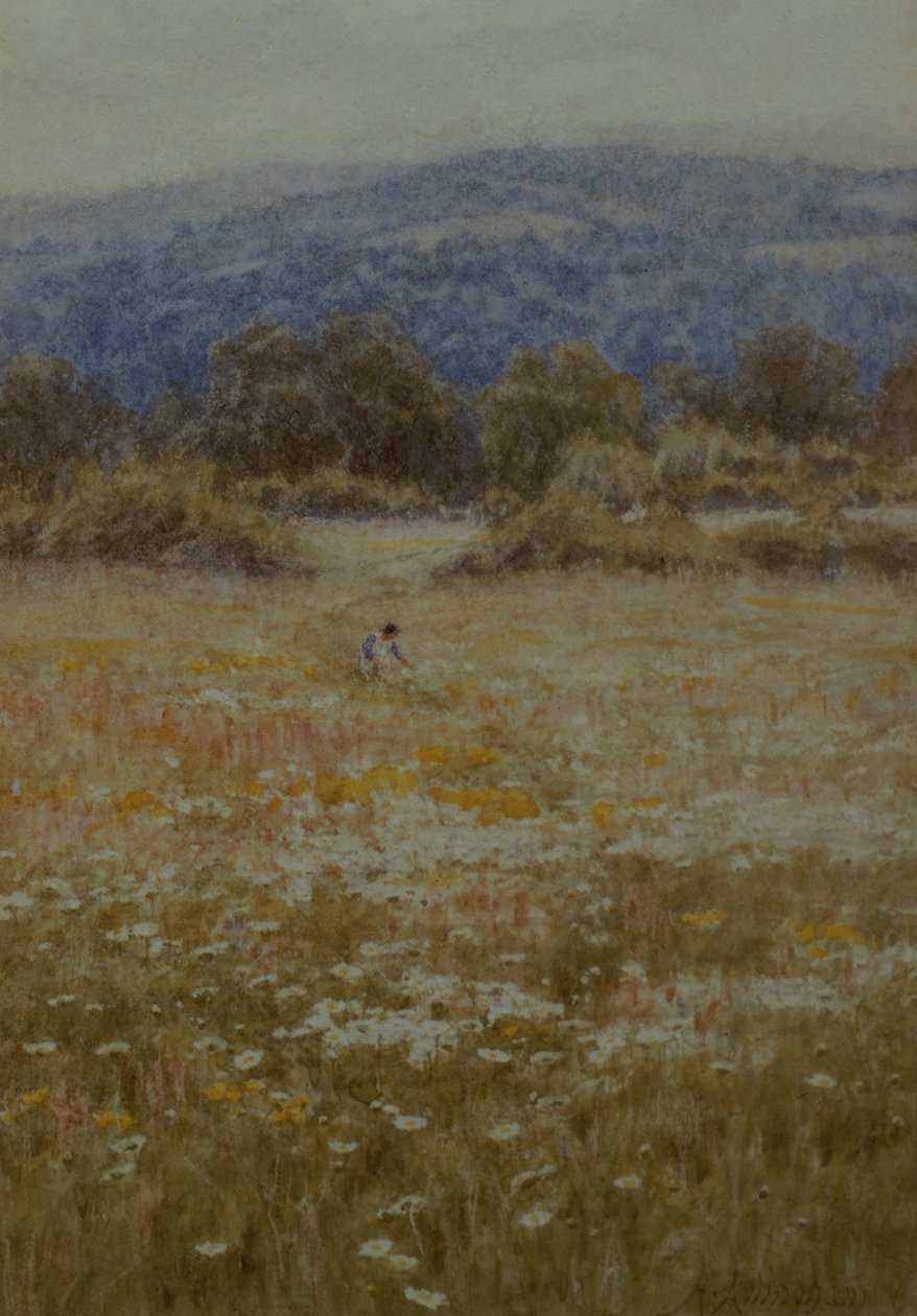 Gänseblümchen pflücken in Westerham, Kent von Helen Allingham