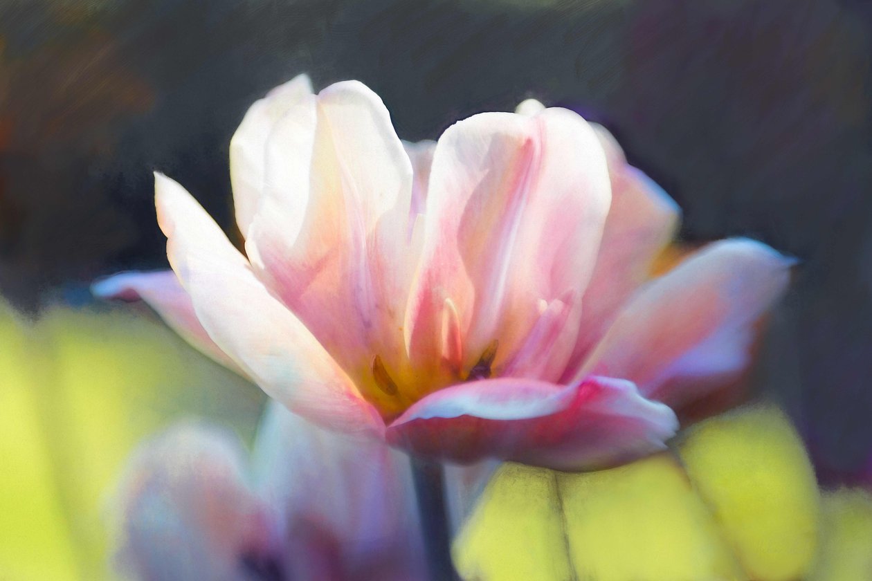 Emergenz III von Helen White