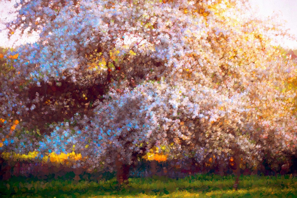 Abendblüte von Helen White