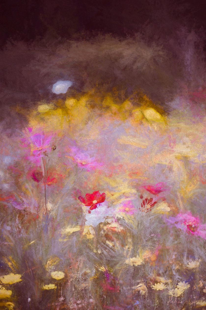 Wiese von Helen White