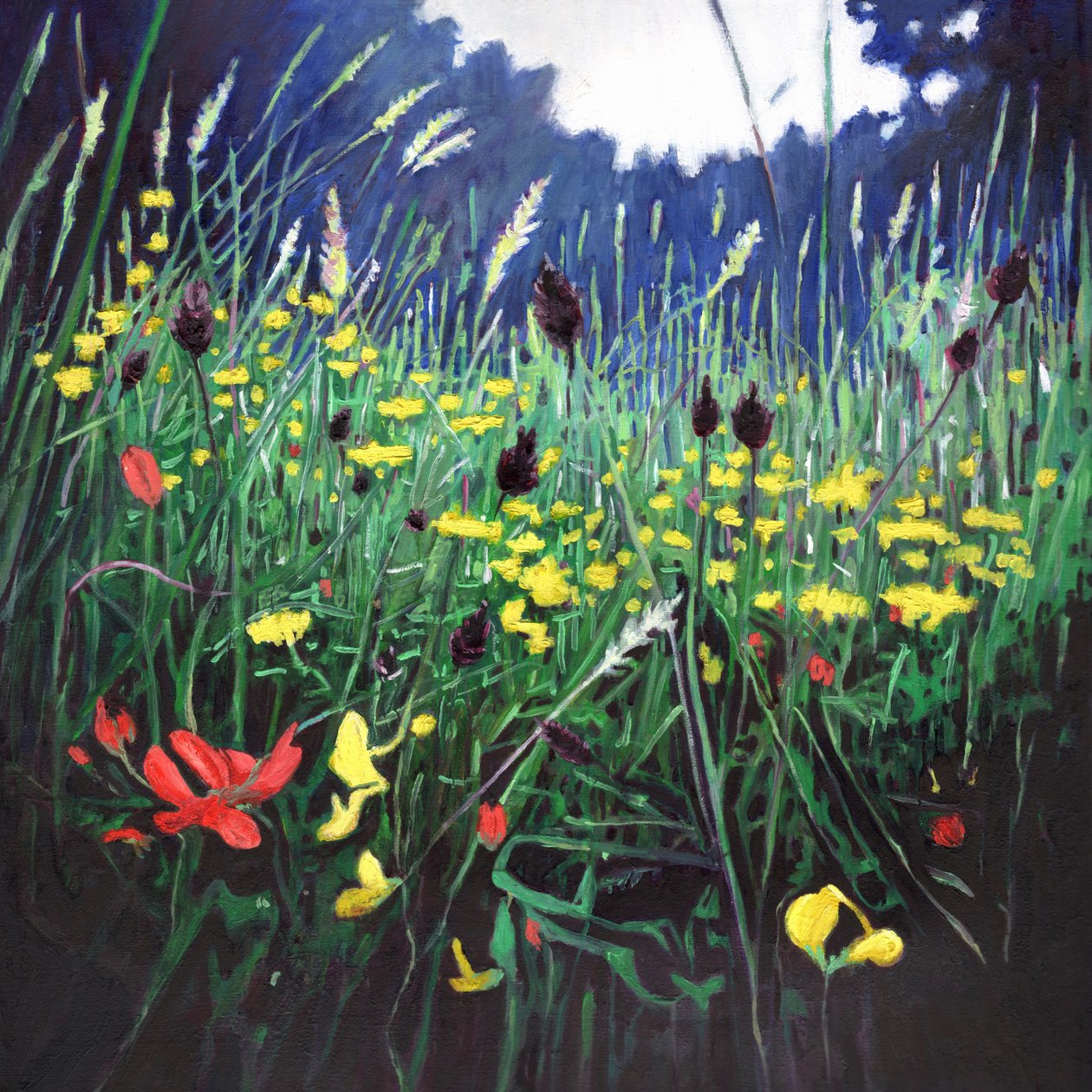Wiesenpracht, 2015 von Helen White