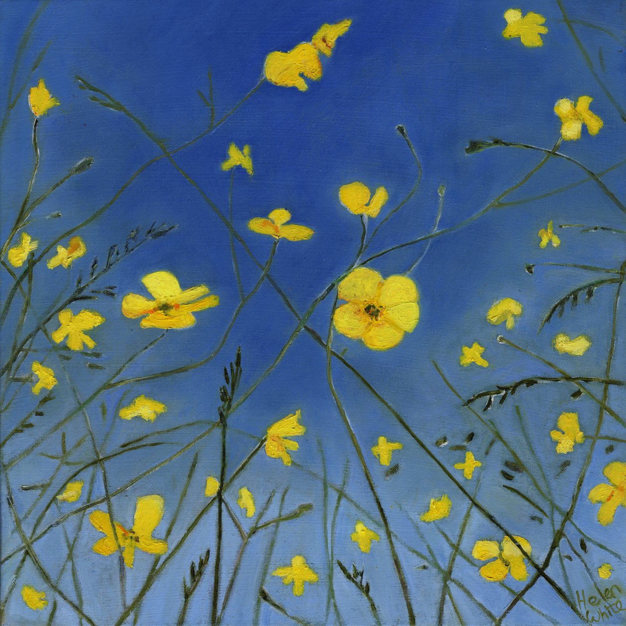 Sommertage und faule Wege, 2015 von Helen White