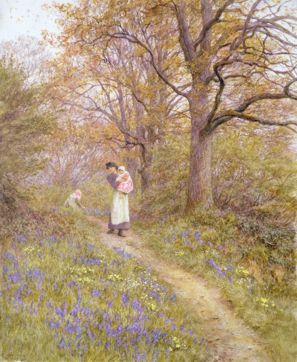 Hasenglöckchen von Helen Allingham
