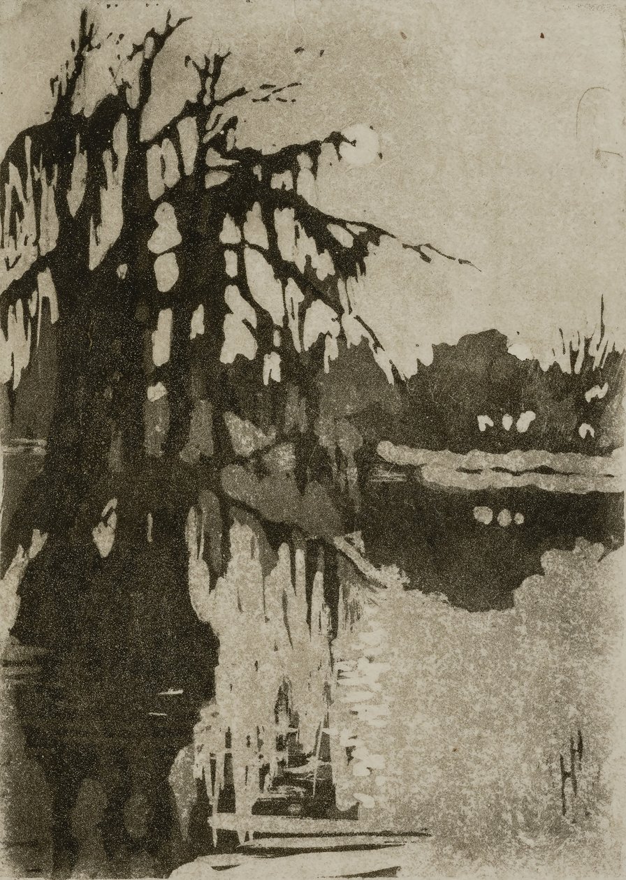 Zypressen von Helen Hyde