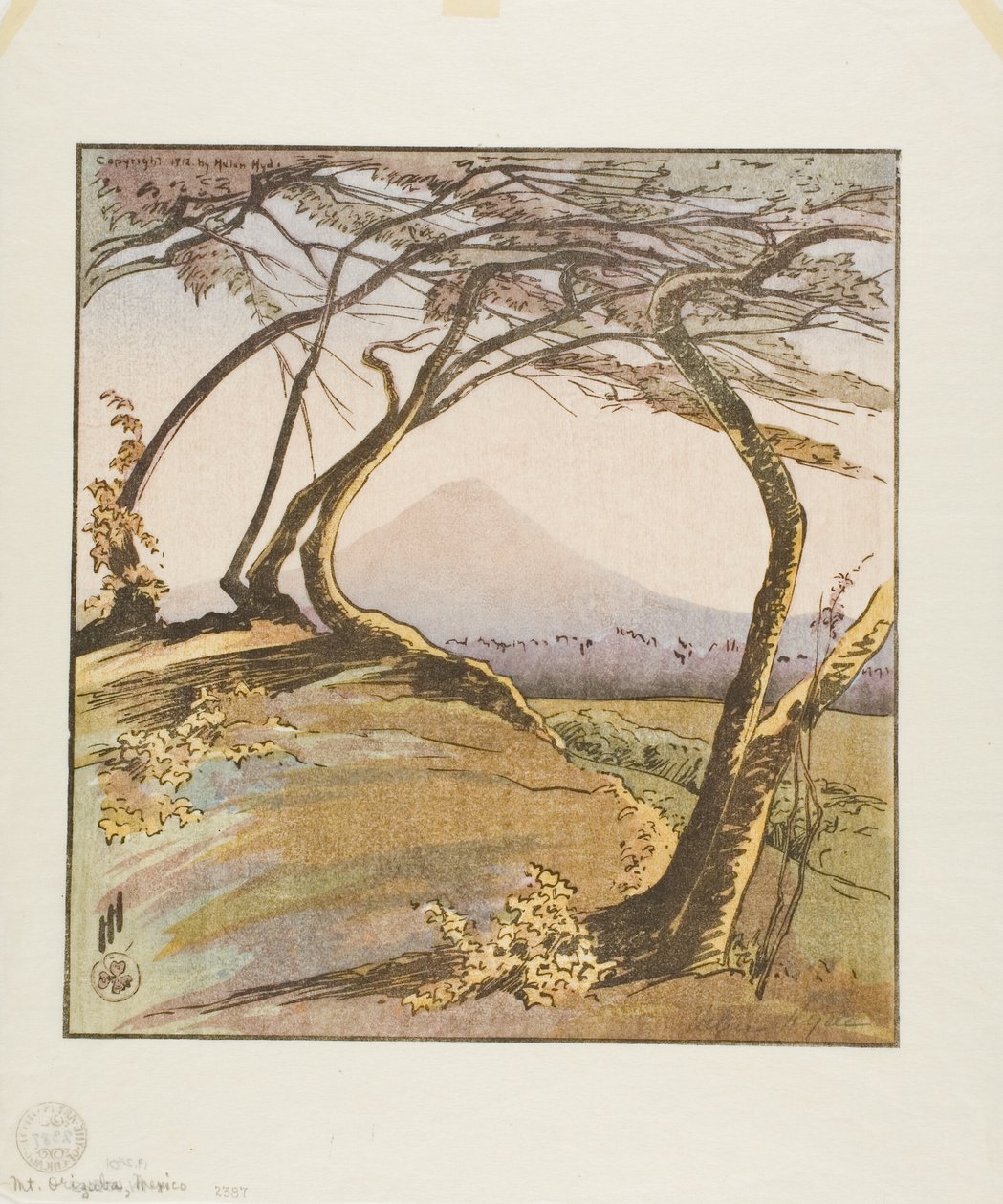 Berg Orizaba von Helen Hyde