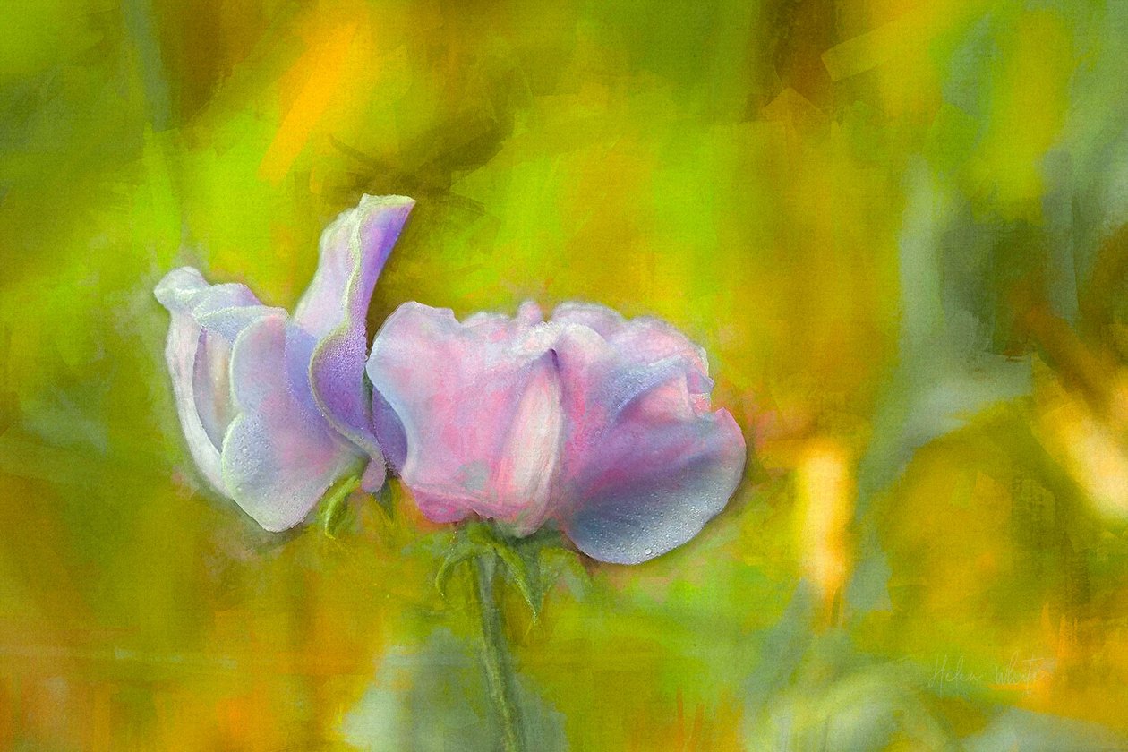 Herbst-Süßklee I, 2018 von Helen White