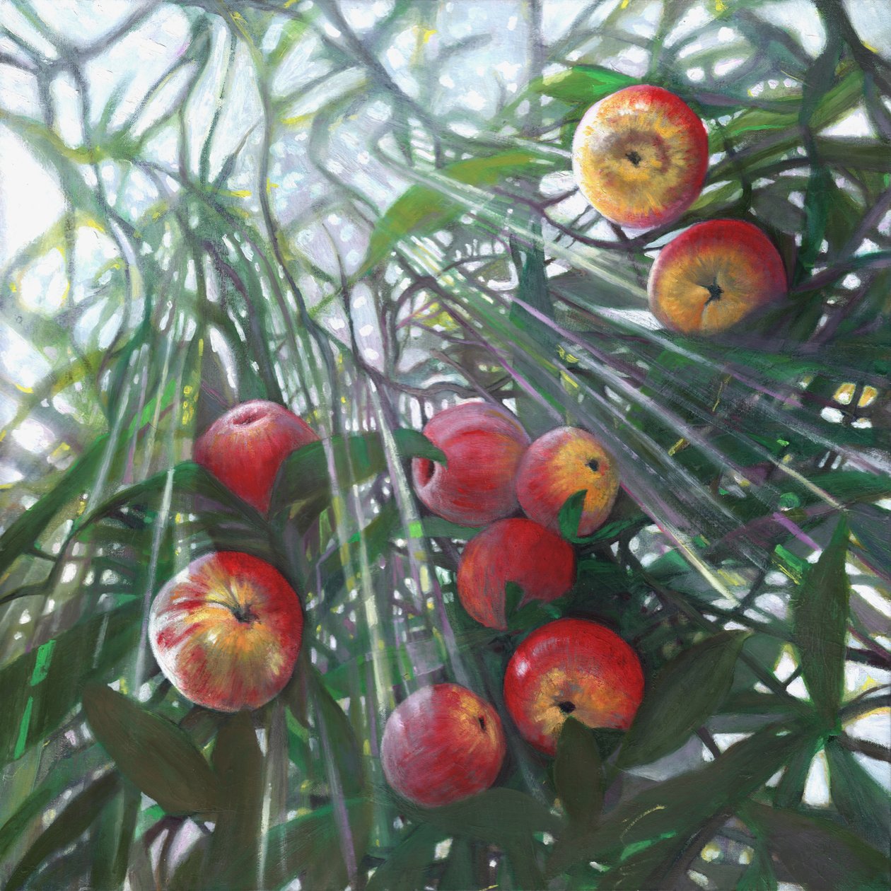 Neues Licht auf Eden, 2016 von Helen White