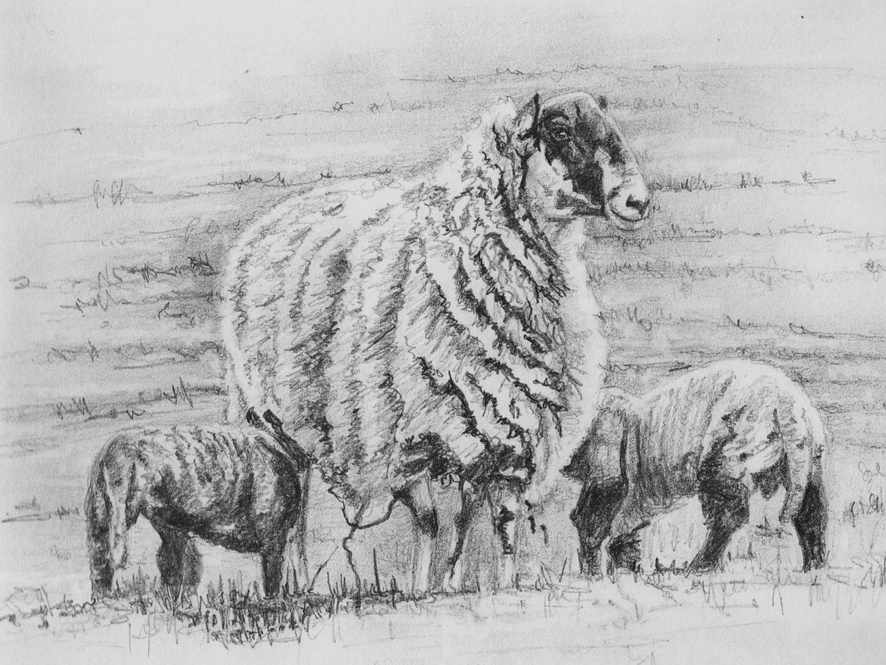 Stolzes Mutterschaf, 2012 von Helen White