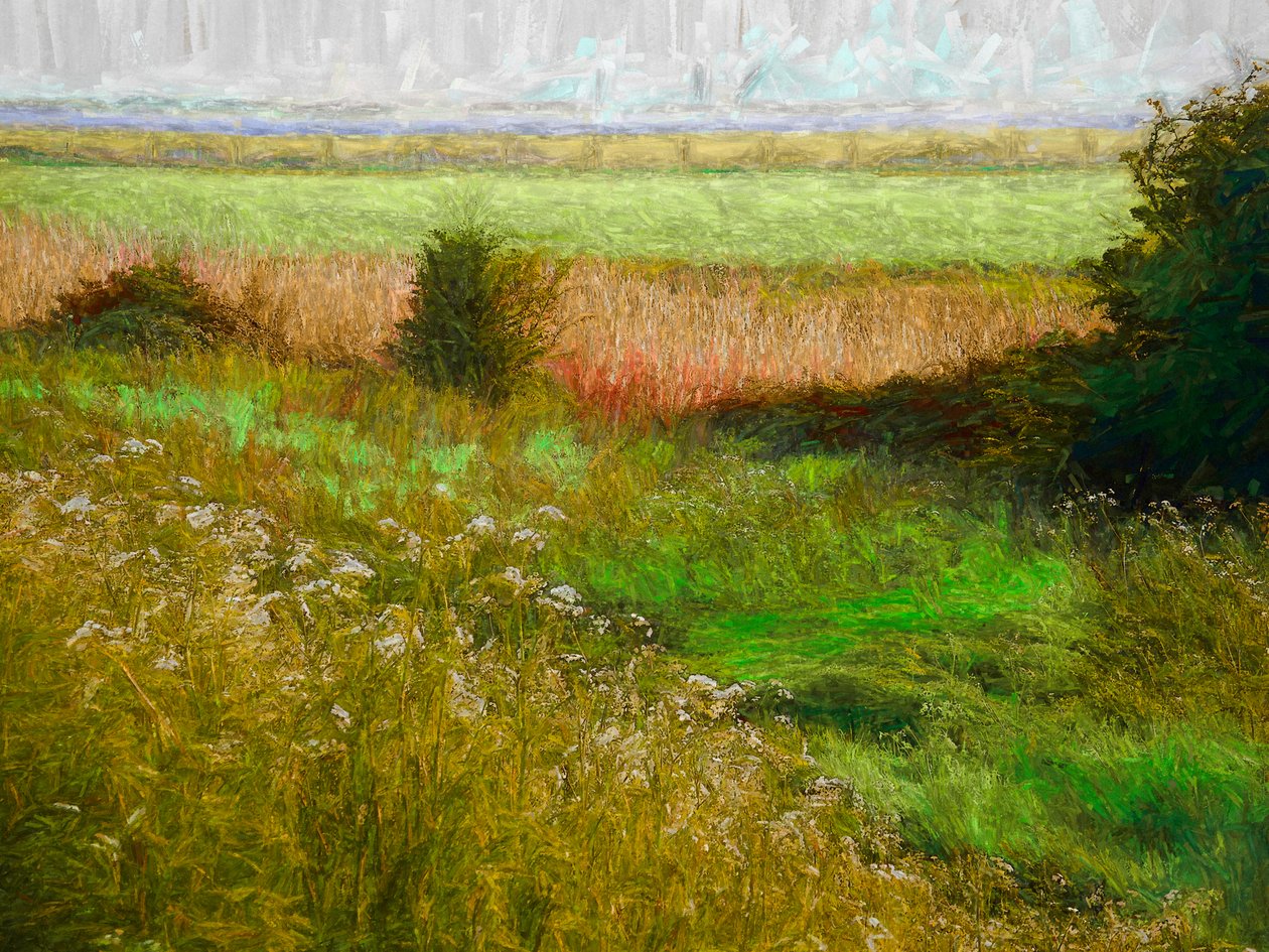 Sommerwiese, 2019 von Helen White