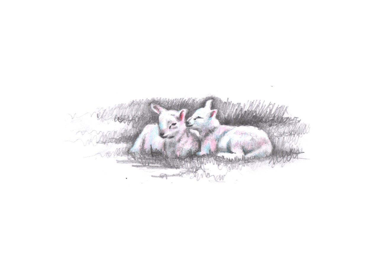 Zwillinge, 2016 von Helen White