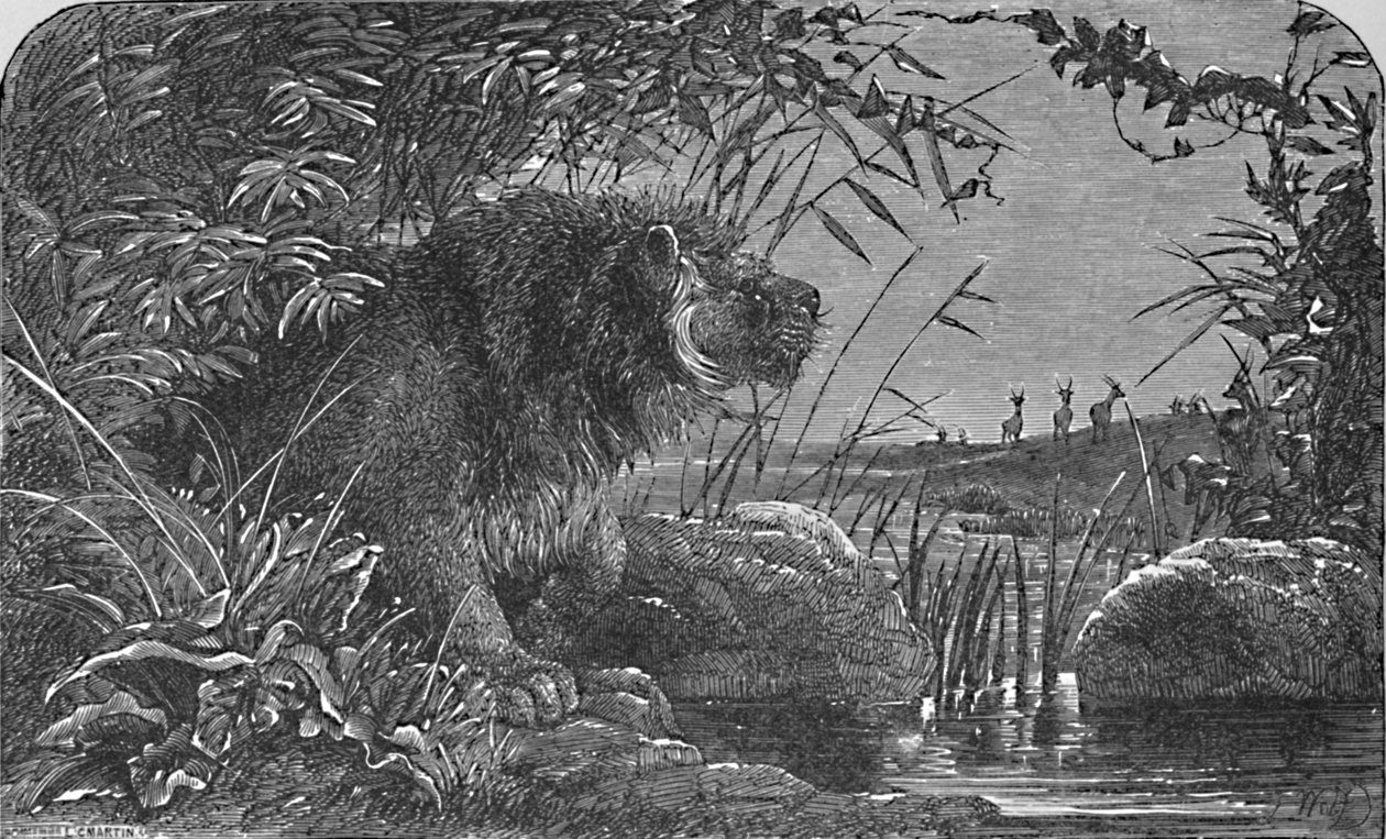 Warten auf die Antilopen, um 1900 von Helena J. Maguire