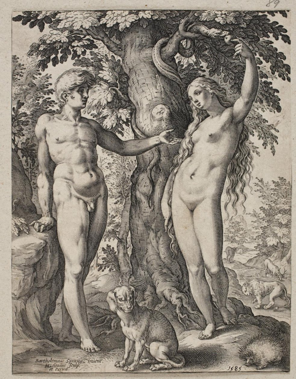 Adam und Eva von Hendrick Goltzius