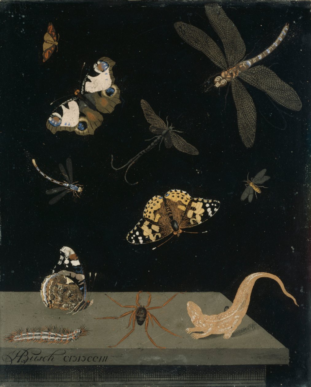 Scagliola-Tafel mit Insekten und einem Salamander, 1703 von Hendrik Busch