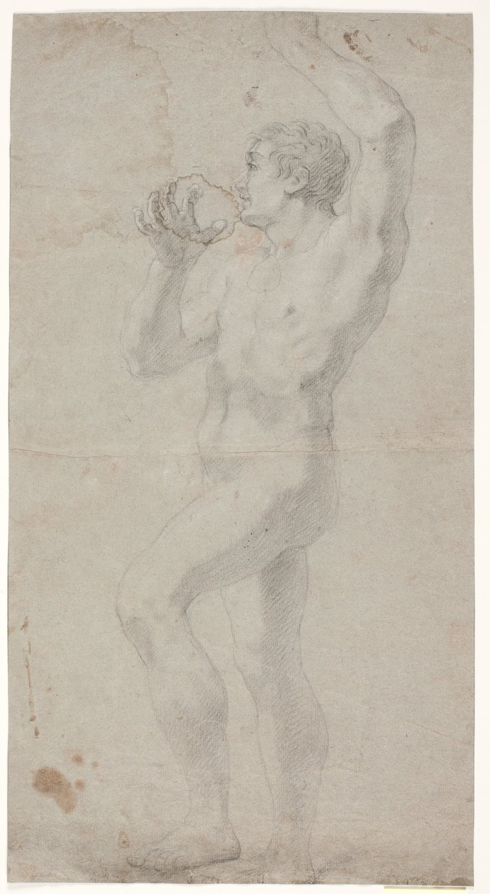 Männliche Modellstudie von Hendrik Krock