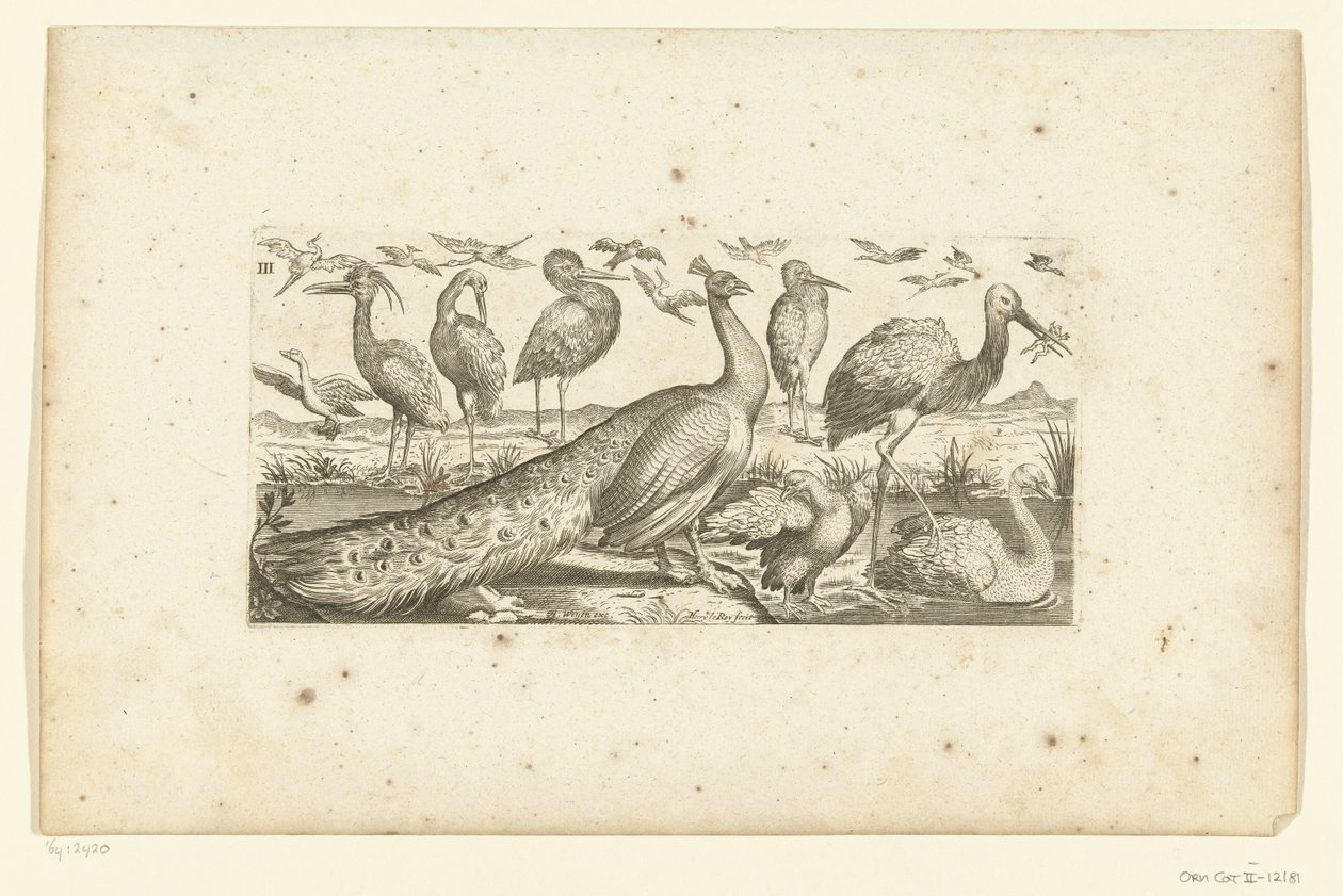 Neunzehn Vögel von Henri Le Roy