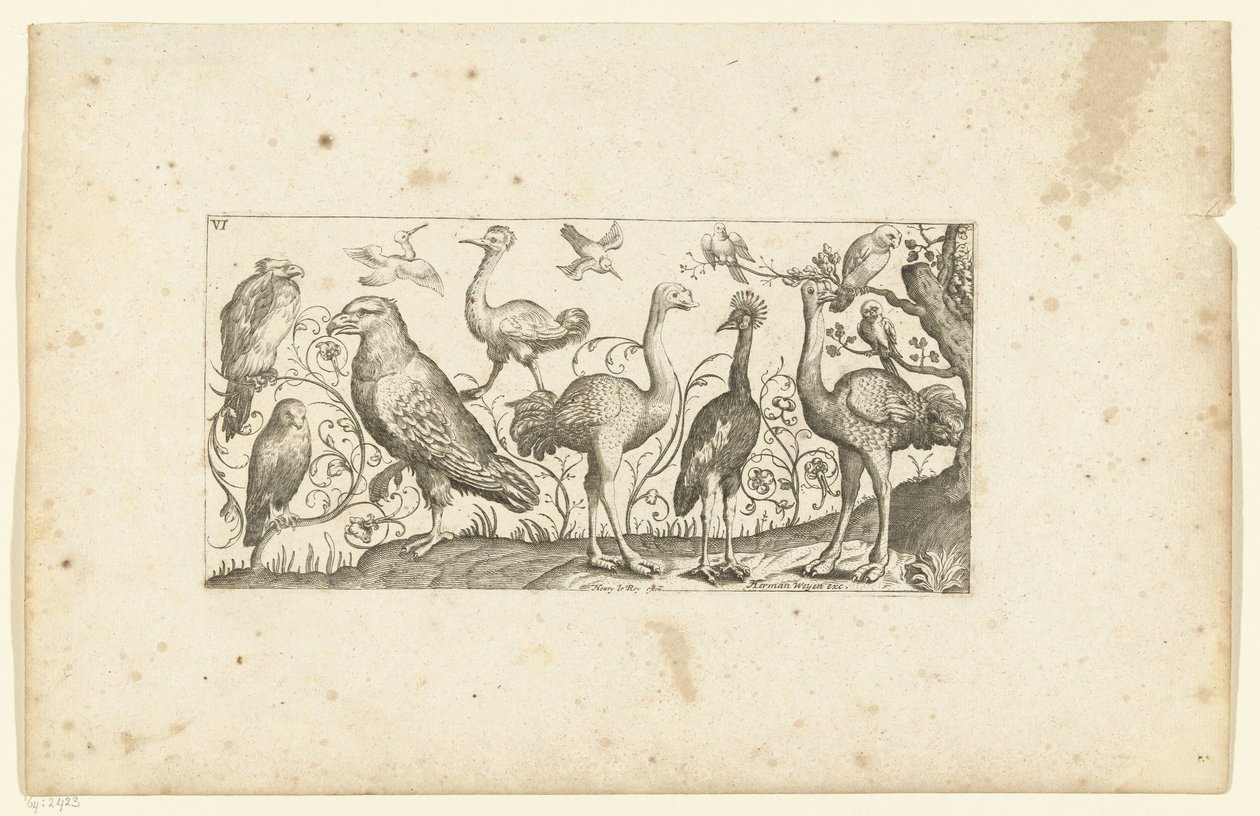 Zwölf Vögel von Henri Le Roy