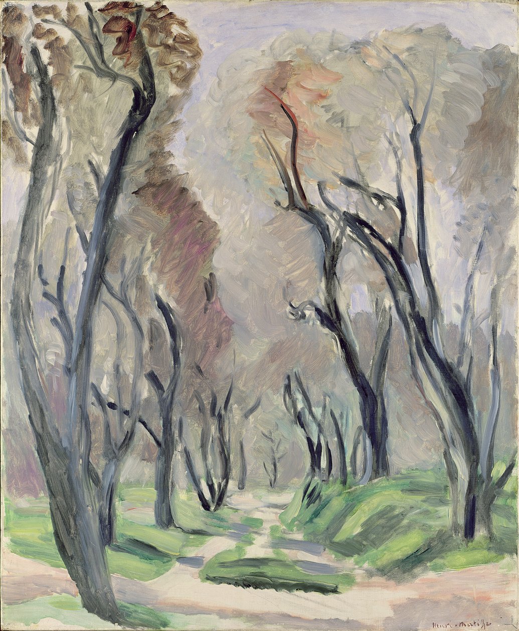 Allee der Olivenbäume von Henri Matisse