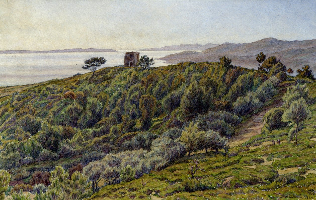 Alte Turm und die Inseln von Hyeres von Henri Rivière