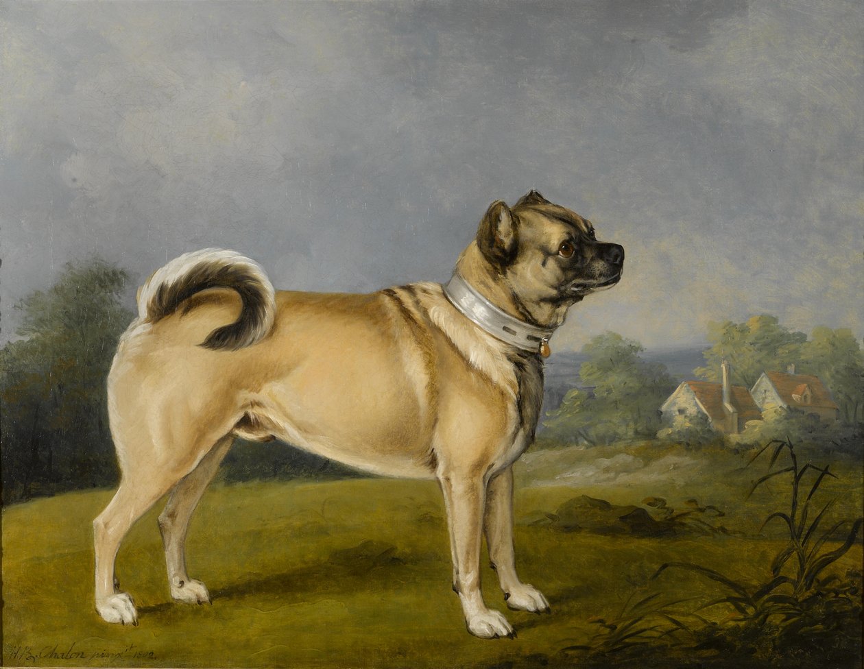 Ein Lieblingsmops von Henry Bernard Chalon