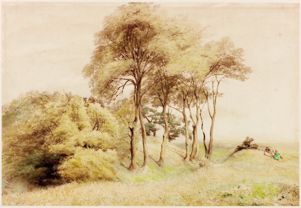 Drumburgh von Henry Burdon Richardson