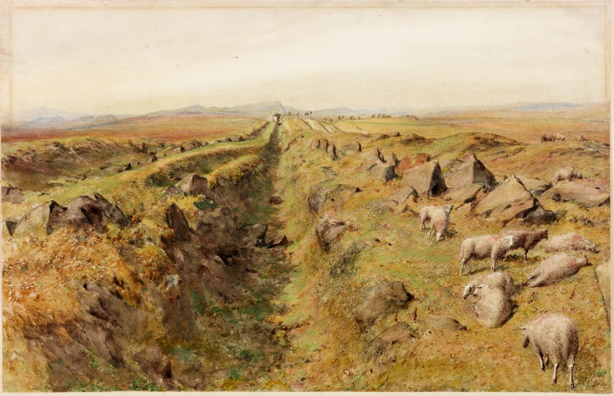Kalksteinbank von Henry Burdon Richardson