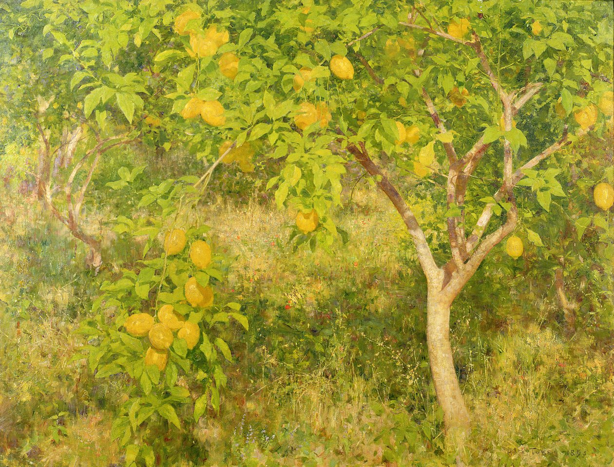 Der Zitronenbaum, 1893 von Henry Scott Tuke