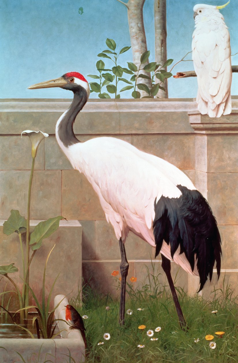 Mandschurenkranich, Kakadu und Rotkehlchen von Henry Stacey Marks