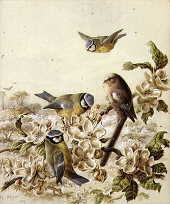 Obstgartenräuber von Henry Bright