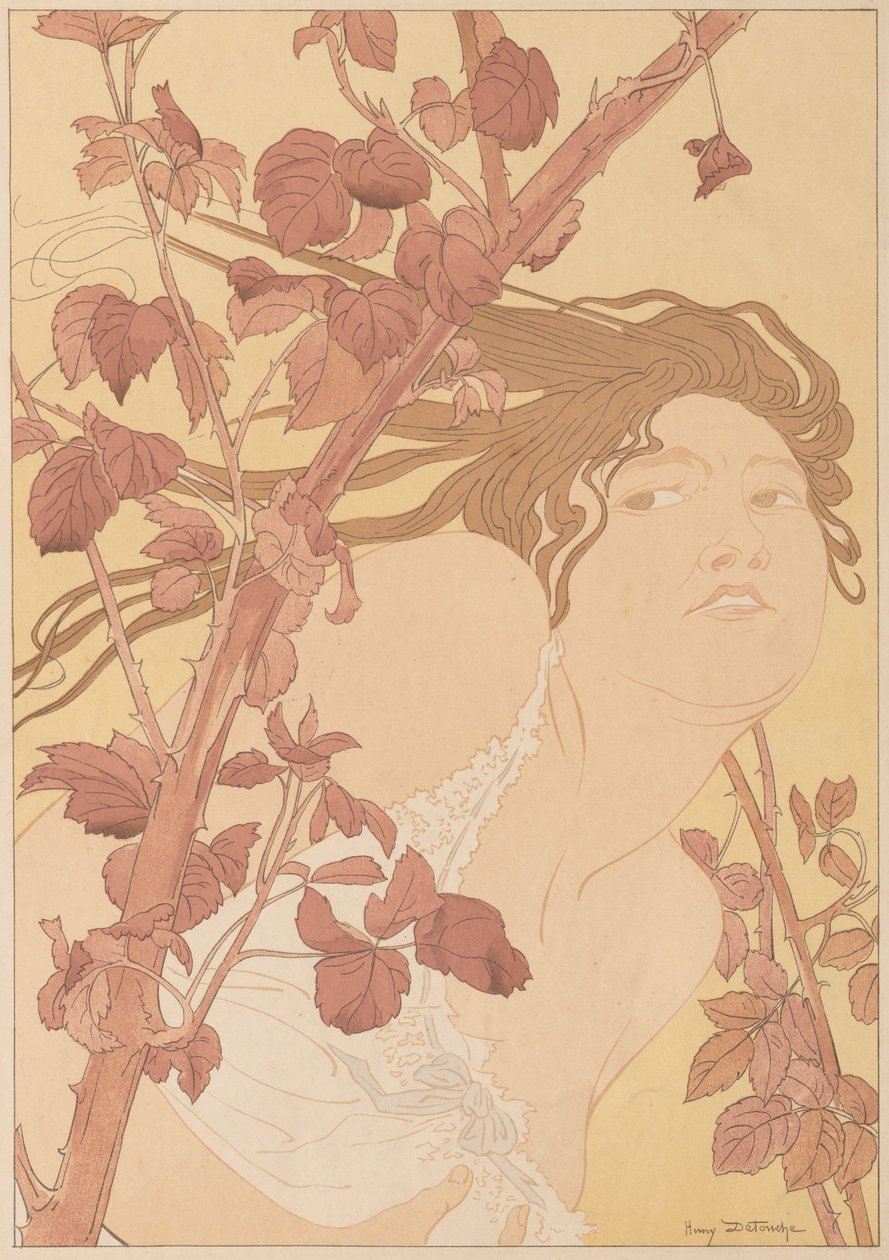 In den Brombeeren von Henry Detouche