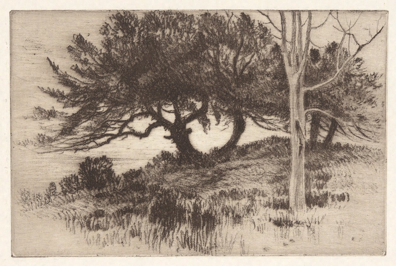 In der Nähe des Meeres von Henry Farrer