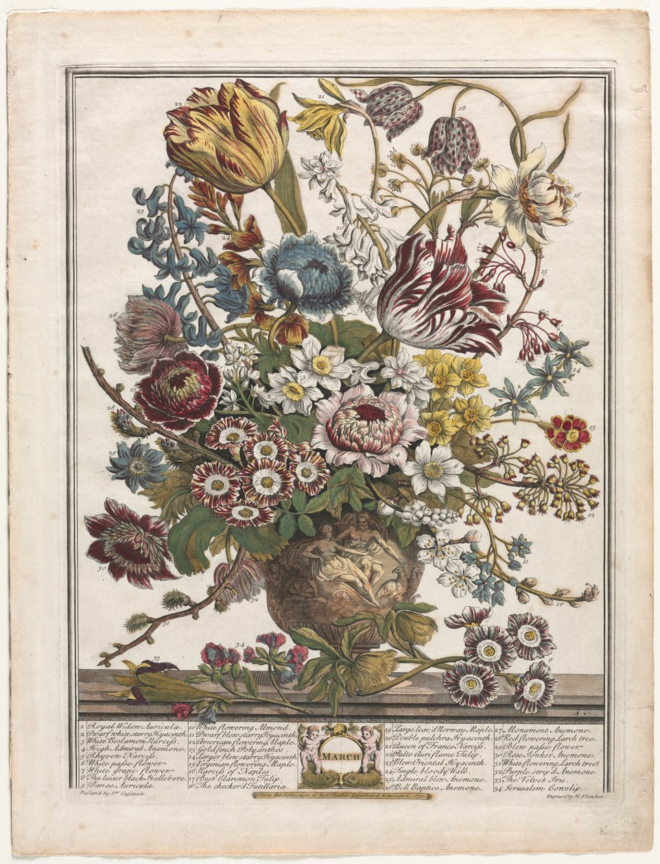 Zwölf Monate der Blumen: März von Henry Fletcher