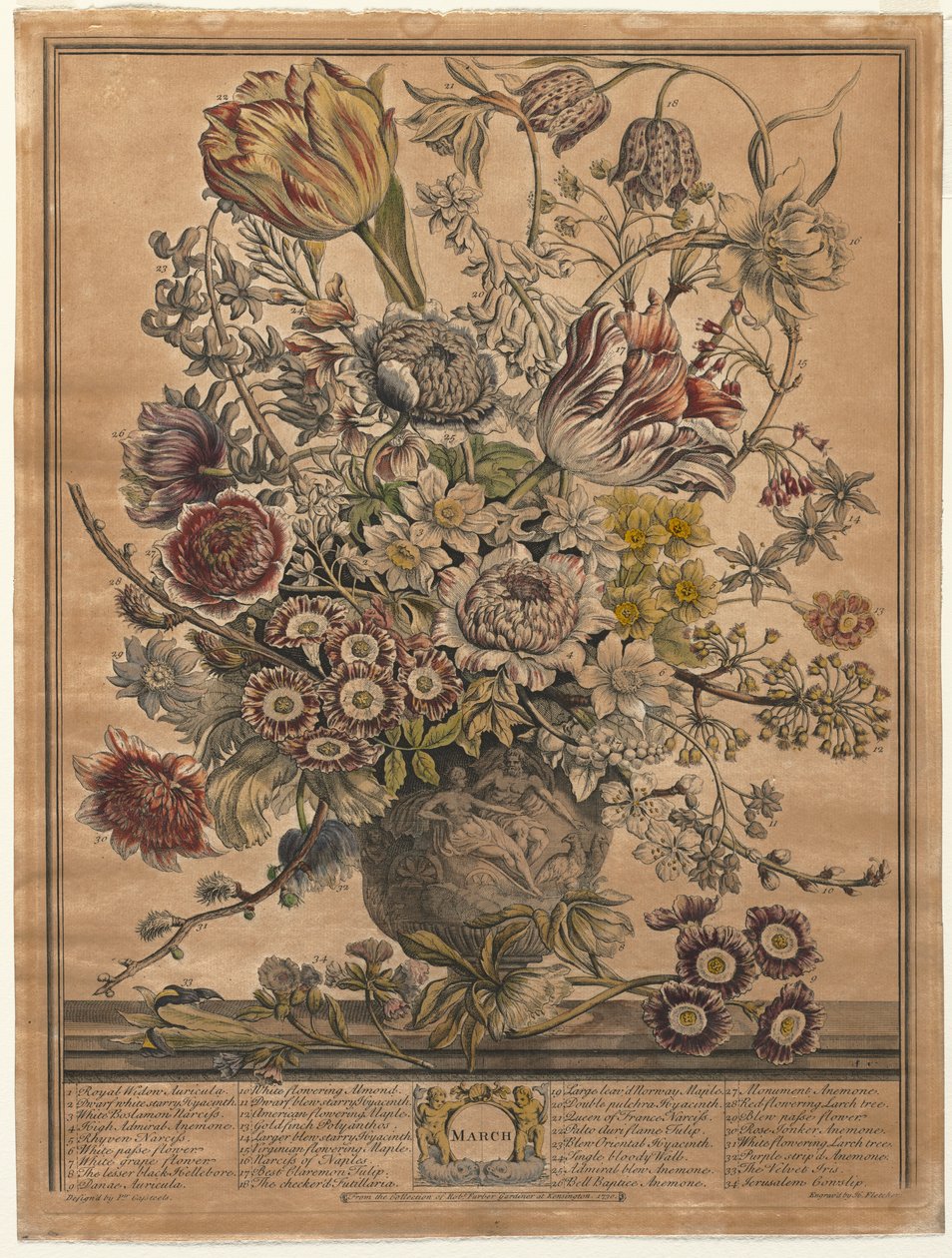 Zwölf Monate der Blumen: März von Henry Fletcher