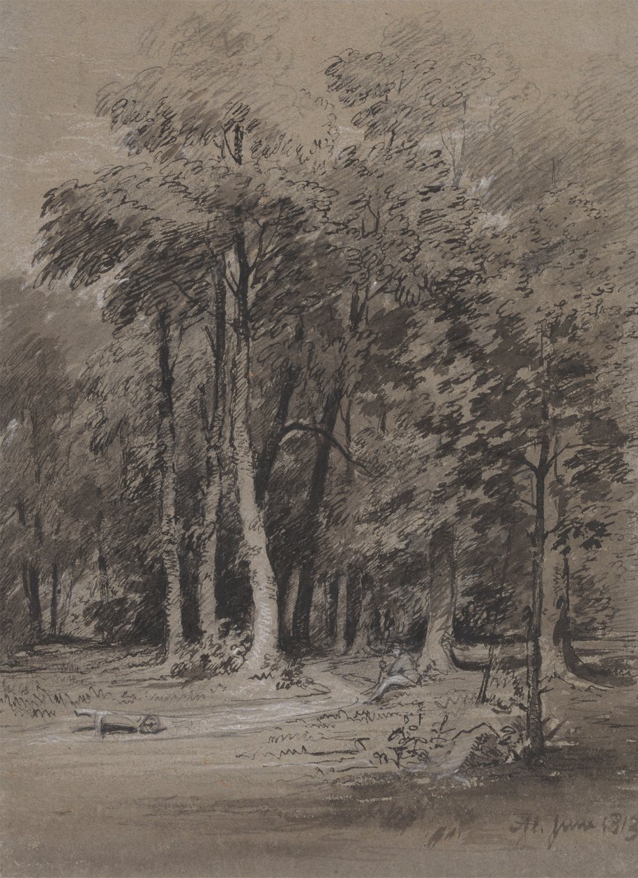 Ein bewaldeter Pfad von Henry Monro