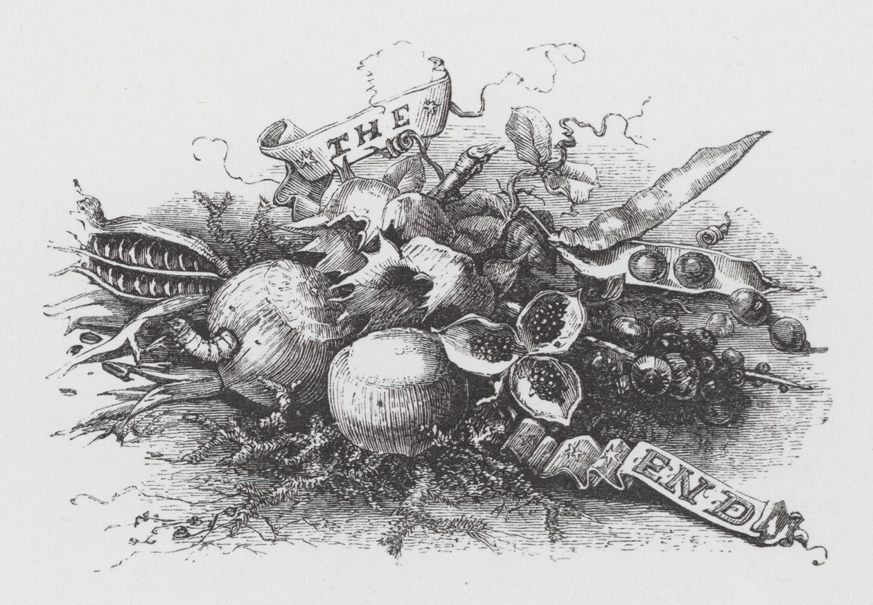 Das Ende von Henry Noel Humphreys